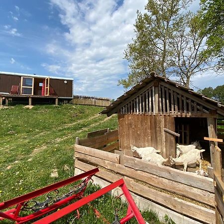 Maringotka Na Samote Na Kozi Farme Hotel Pobezovice ภายนอก รูปภาพ